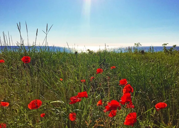Strandresort Prora - Wg 114 Mit Meerblick