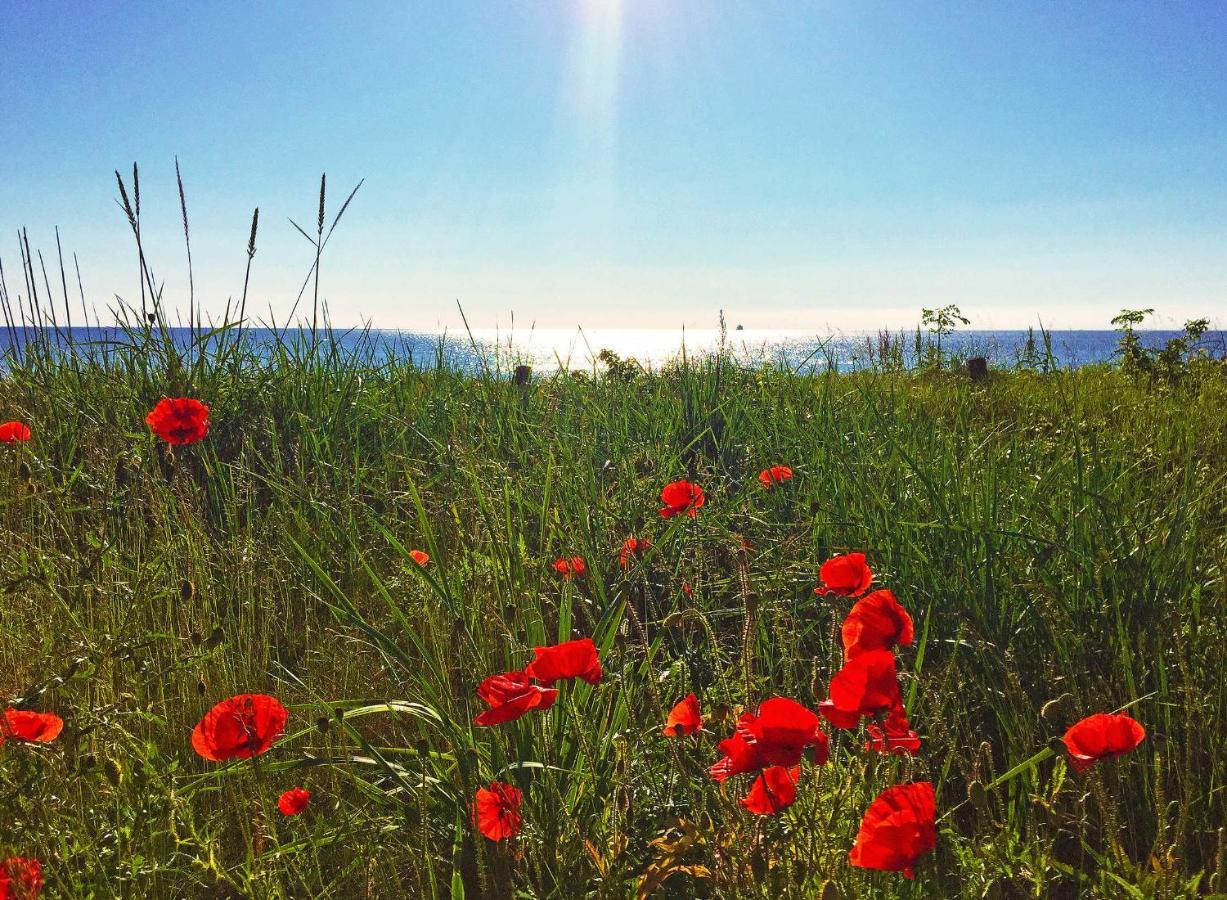 Appartamento Prora - Wg 114 Mit Meerblick *